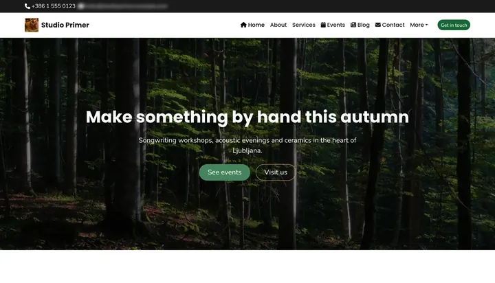 Web stranica - What visitors see