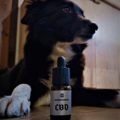 CBD and CBG Drops 🌿💧