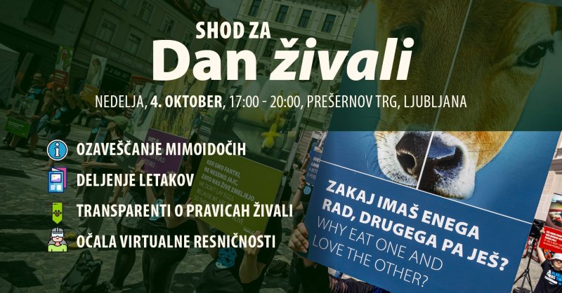 Shod za Svetovni dan živali 2026