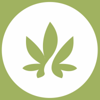 Herbs And More