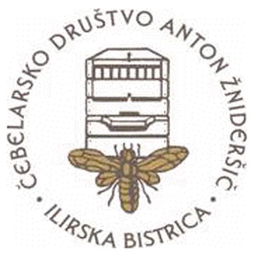 ČD Ilirska Bistrica-A.Ž.