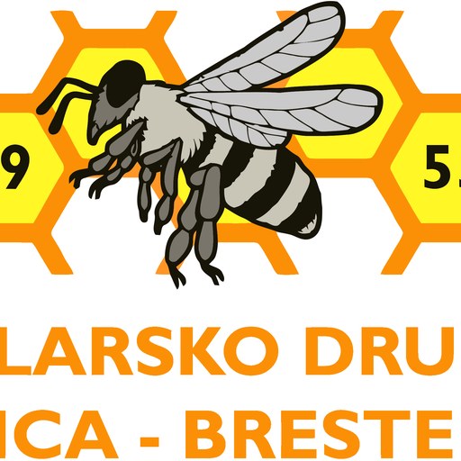 ČD Kamnica-Brestrnica
