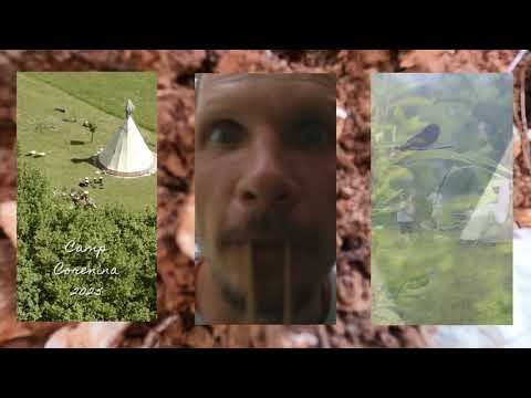 Bu Da