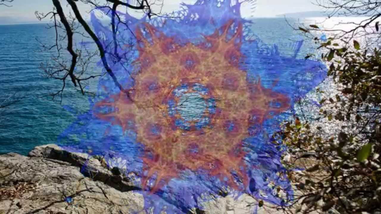 Solaley Production - AMore